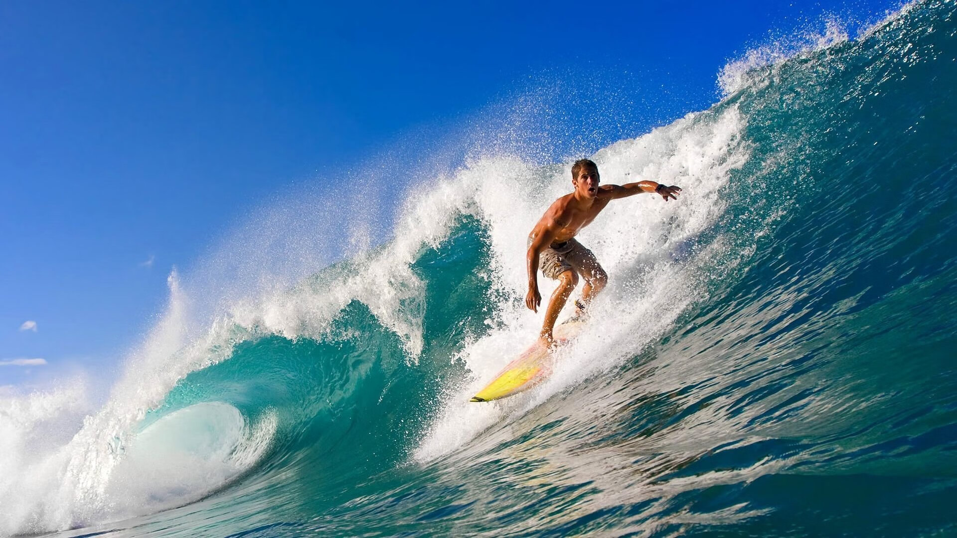 200蝶终点冲刺动作节奏解析